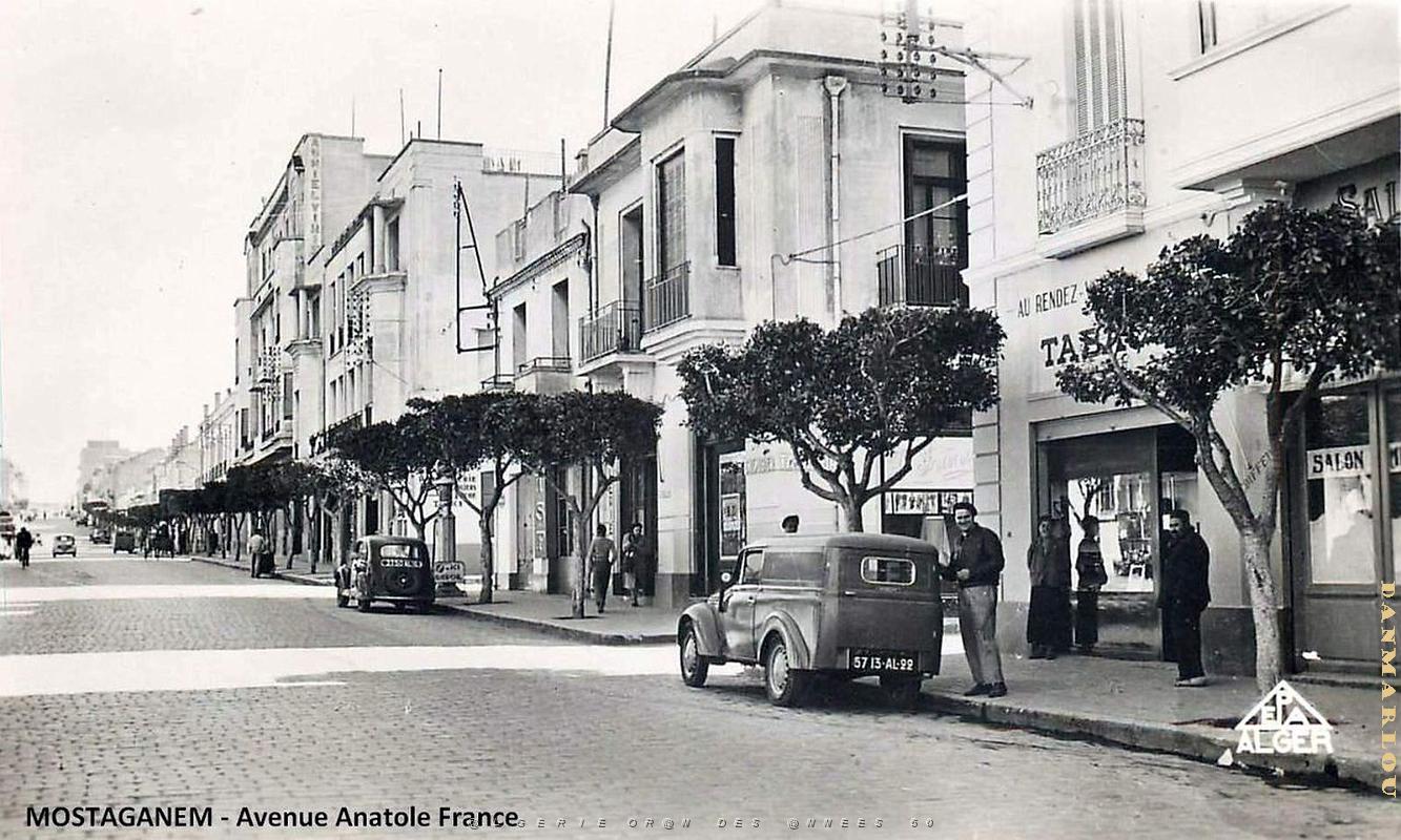 2895- Mostaganem - Avenue Anatole France.jpg